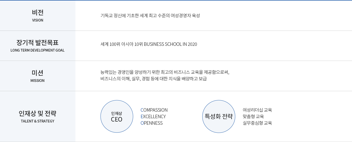 비전