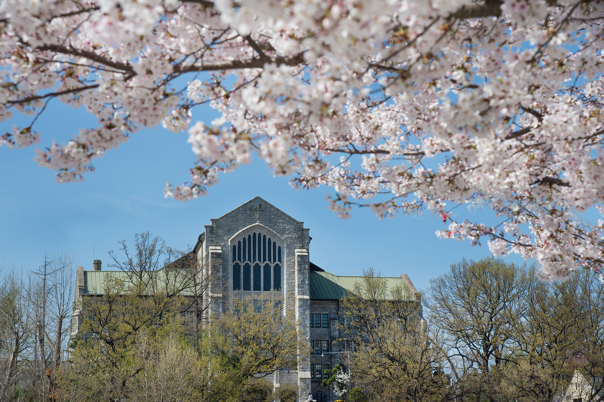 Graduate School of Business