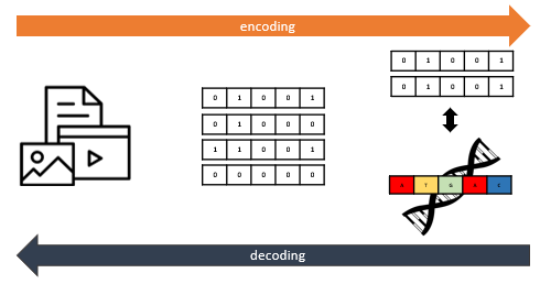 Algebraic Coding Theory